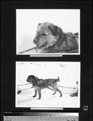 Go to image 75.