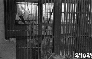 Big Creek, Florence Lake Dam - Ward Tunnel intake trash rack