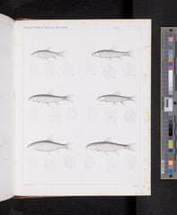 Go to image 1106.