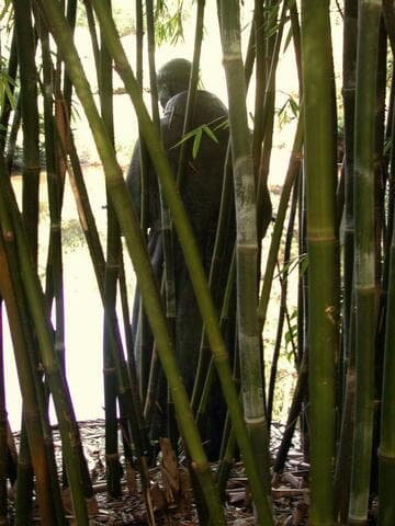 Saint Francis of Assisi