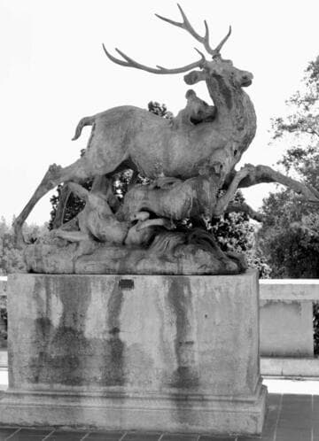 The Stag Hunt