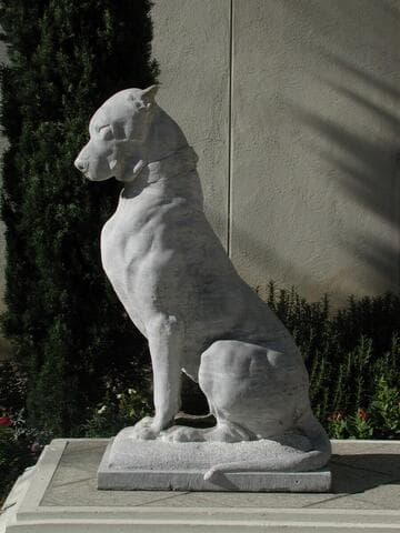 Carved Stone Dog