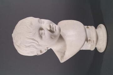 Head of a Boy