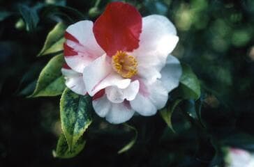 Go to image 4.