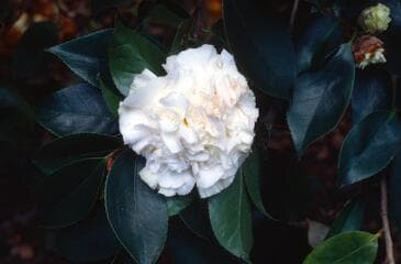 Go to image 3.