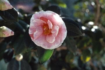 Go to image 3.