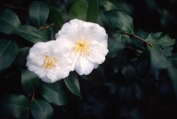 Go to image 3.