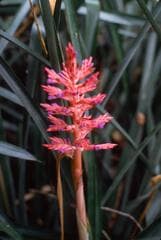 Go to image 5.