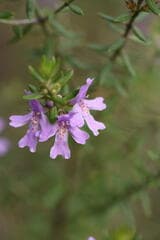 Go to image 8.