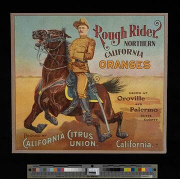Rough Rider