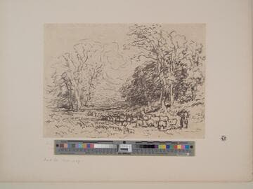 Skirts of the Forest