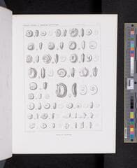 Go to image 646.