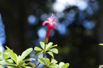 Go to image 6.