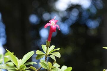 Go to image 7.