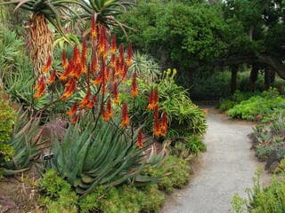 Go to image 8.