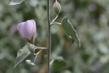 Go to image 6.