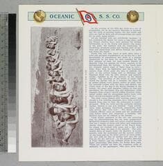 Go to image 4.