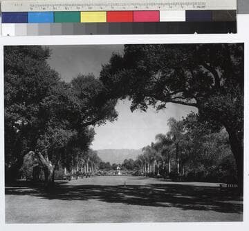 North vista of the San Marino ranch, circa 1918