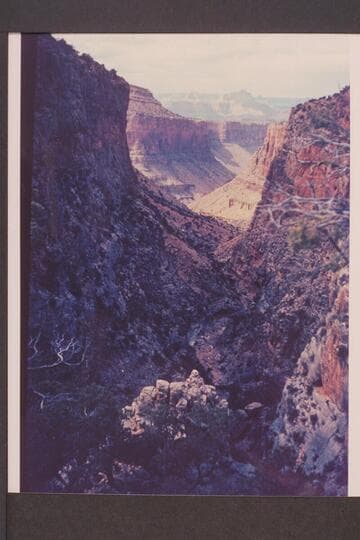 The Old Trail