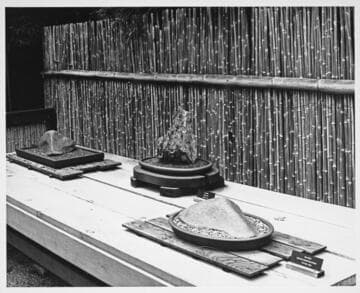 Suiseki display in the Japanese garden, 1972