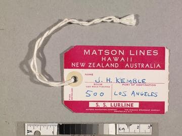 Matson Lines Hawaii New Zealand Australia stateroom baggage tag
