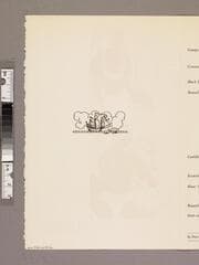 Go to image 2.