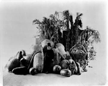 Chamber of Commerce display of large fruits and vegetables