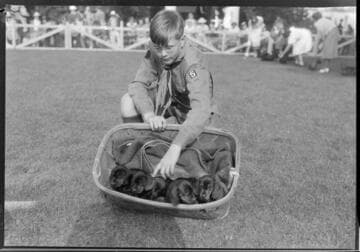 Pet show, Polytechnic Elementary School, 1030 East California, Pasadena. June 1939